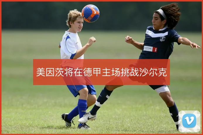 美因茨将在德甲主场挑战沙尔克