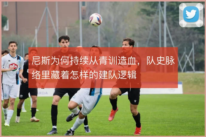 尼斯为何持续从青训造血,队史脉络里藏着怎样的建队逻辑