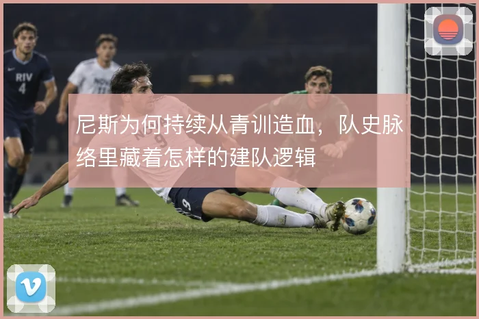 尼斯为何持续从青训造血,队史脉络里藏着怎样的建队逻辑