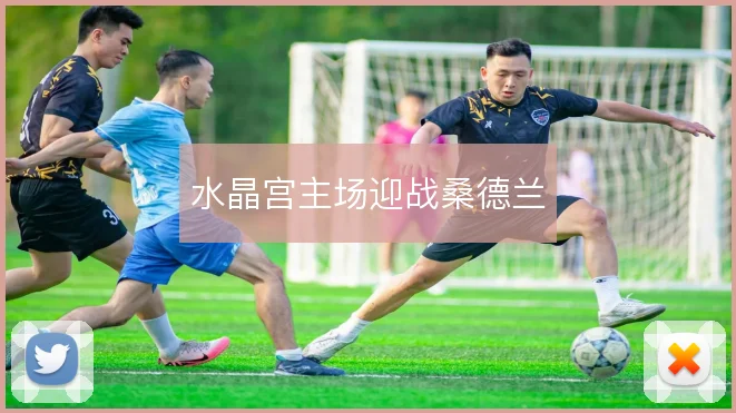 水晶宫主场迎战桑德兰