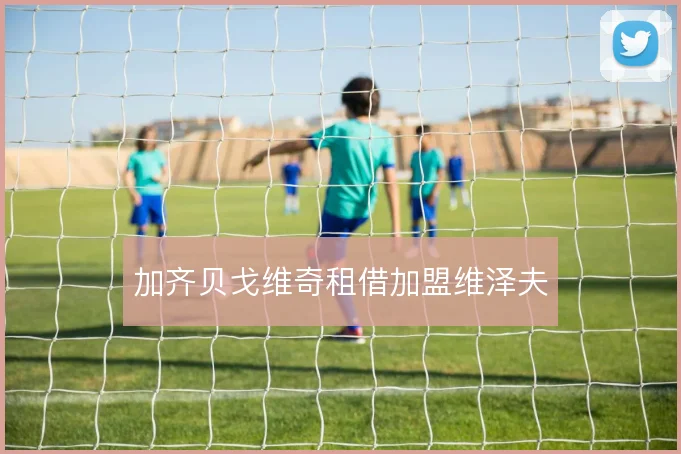 加齐贝戈维奇租借加盟维泽夫