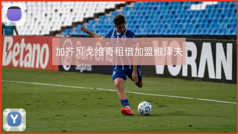 加齐贝戈维奇租借加盟维泽夫