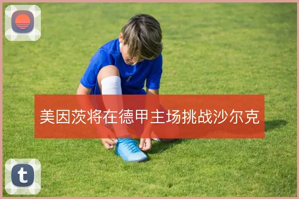 美因茨将在德甲主场挑战沙尔克