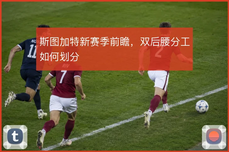 斯图加特新赛季前瞻，双后腰分工如何划分