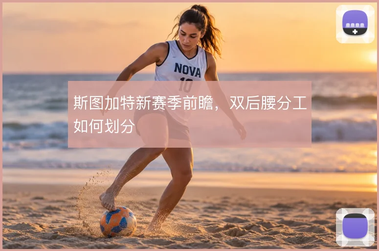 斯图加特新赛季前瞻，双后腰分工如何划分
